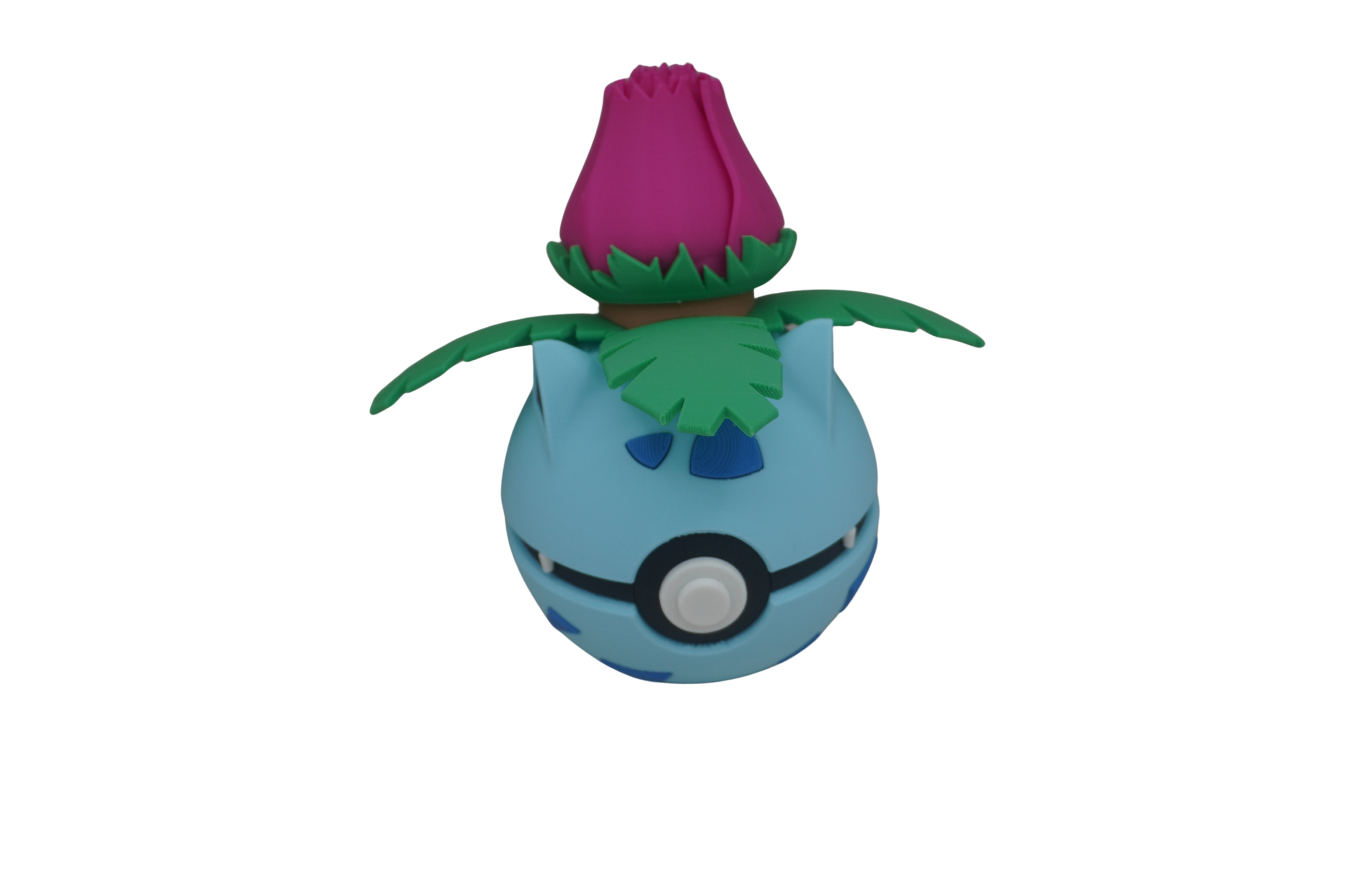 Ivysoure